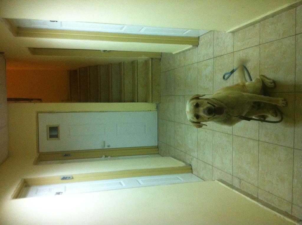 Faulty Towers Hotel Ejlat Zewnętrze zdjęcie